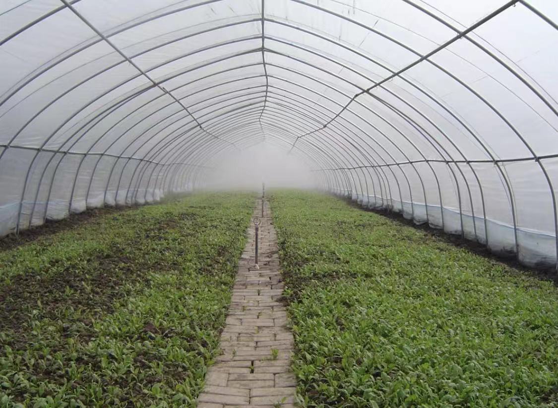 节后钢价暴涨 下周冲击6000？